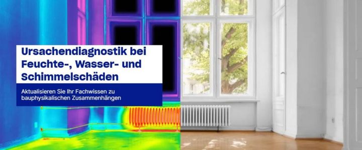 Ursachendiagnostik bei Feuchte-, Wasser- und Schimmelschäden (Seminar | Online)