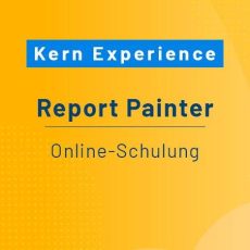 Report Painter – Schulung (Schulung | Online) Report Painter – Schulung (Schulung | Online)