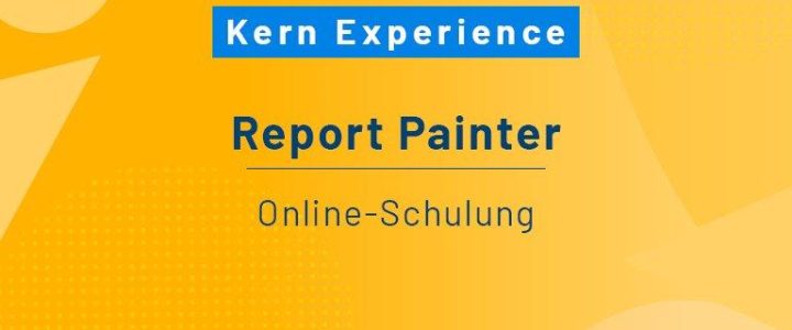 Report Painter – Schulung (Schulung | Online) Report Painter – Schulung (Schulung | Online)