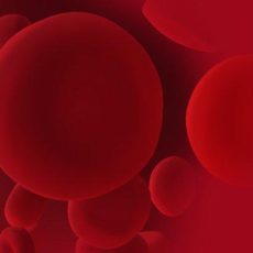 State-of-the-Art myeolische Neoplastiken (Seminar | Halle (Saale))