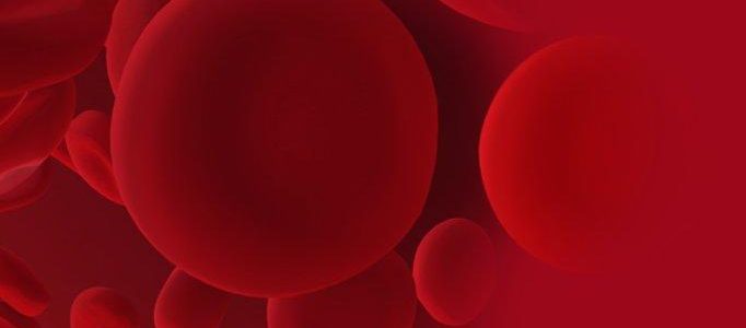 State-of-the-Art myeolische Neoplastiken (Seminar | Halle (Saale)) State-of-the-Art myeolische Neoplastiken (Seminar | Halle (Saale))