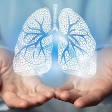 13. Pneumologisches Update (Vortrag | Radebeul)