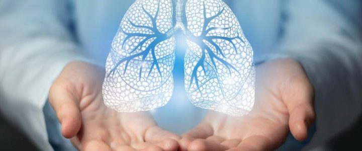 13. Pneumologisches Update (Vortrag | Radebeul) 13. Pneumologisches Update (Vortrag | Radebeul)