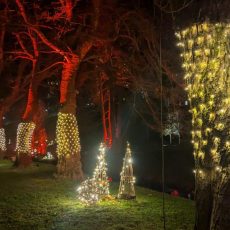 Stadtwerke-Albleuchten vom 30. November bis zum 6. Januar (Ausstellung | Bad Herrenalb)