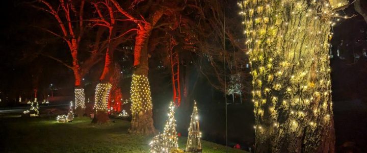 Stadtwerke-Albleuchten vom 30. November bis zum 6. Januar (Ausstellung | Bad Herrenalb)