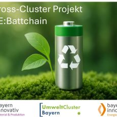 Planspieldurchführung zur Kreislaufwirtschaft von Li-Ionenbatterien in Bayern (Workshop | Nürnberg) Planspieldurchführung zur Kreislaufwirtschaft von Li-Ionenbatterien in Bayern (Workshop | Nürnberg)