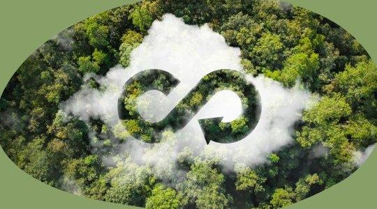 Kreislaufwirtschaft im Fokus: Chancen und Herausforderungen der nachhaltigen Transformation (Workshop | Regensburg)