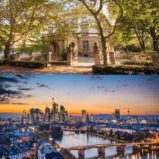 41. Value Management Forum  “Alternative Investments & Fine  Wine“ (Konferenz | Frankfurt am Main)