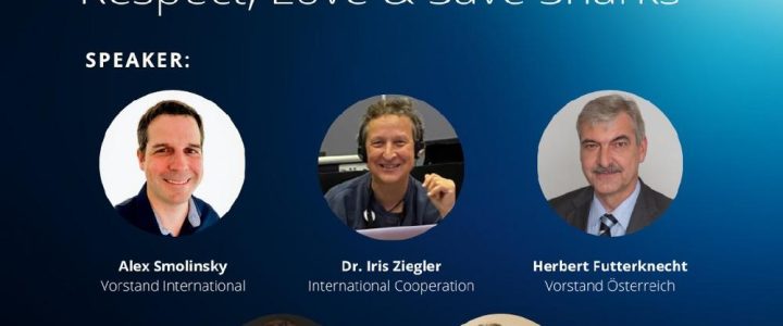 It‘s Sharktime – Respect, Love & Save Sharks (Webinar | Online) It‘s Sharktime – Respect, Love & Save Sharks (Webinar | Online)
