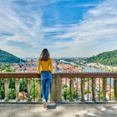 Curriculum Kieferorthopädie 2026 in Heidelberg (Schulung | Heidelberg) Curriculum Kieferorthopädie 2026 in Heidelberg (Schulung | Heidelberg)