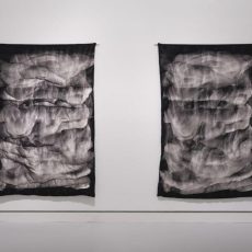 Kuratorinnenrundgang mit Gast (Vortrag | Mainz) Kuratorinnenrundgang mit Gast (Vortrag | Mainz)