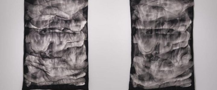 Kuratorinnenrundgang mit Gast (Vortrag | Mainz) Kuratorinnenrundgang mit Gast (Vortrag | Mainz)