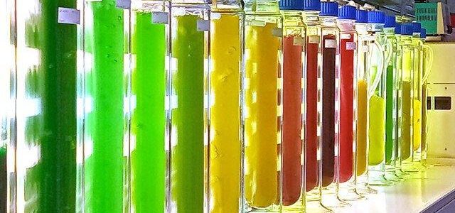 D‑A‑CH Algen Summit 2026 (Kongress | Garching bei München) D‑A‑CH Algen Summit 2026 (Kongress | Garching bei München)