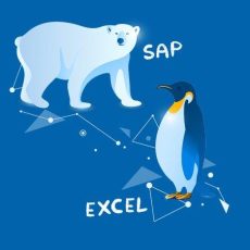Kostenfreies Webinar: Wenn SAP & Excel eins werden (Webinar | Online) Kostenfreies Webinar: Wenn SAP & Excel eins werden (Webinar | Online)