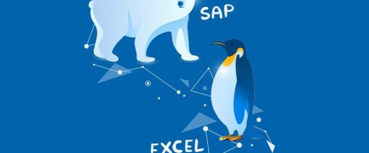 Kostenfreies Webinar: Wenn SAP & Excel eins werden (Webinar | Online)
