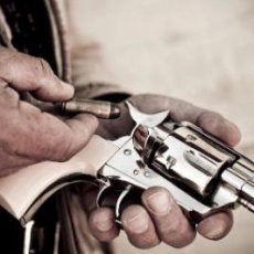 Grundlagen des Waffenrechts (Seminar | Kehl)