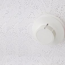 BMA: Verantwortliche Person für Brandmeldeanlagen (DIN 14675/TÜV) (Webinar | Online)