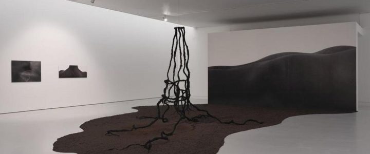 Öffentlicher Rundgang (Ausstellung | Mainz)