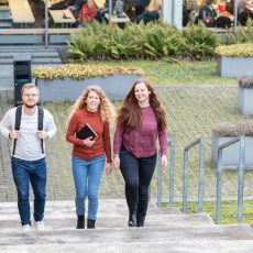 Online-Seminar „Ergotherapie, Logopädie, Physiotherapie an der Hochschule Osnabrück studieren“ (Seminar | Online)