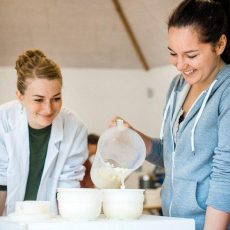 Praxisworkshop zur Molkeverarbeitung in handwerklichen Käsereien (Workshop | Wallenhorst)