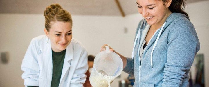 Praxisworkshop zur Molkeverarbeitung in handwerklichen Käsereien (Workshop | Wallenhorst)