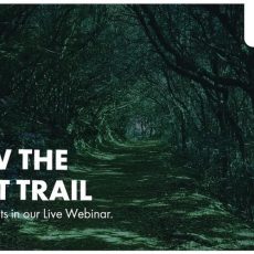 Live-Webinar: Microsoft KI-Webinarreihe – Intelligente Visualisierungen mit KI in Power BI (Webinar | Online)