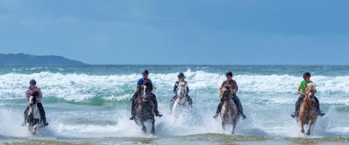 Sprachreise oder Sportcamp? Neue Programme entdecken am langen Beratungstag im März! (Sonstiges | München)