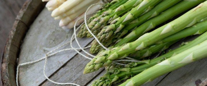 Spargelmenü (Unterhaltung / Freizeit | Bad Sulza)