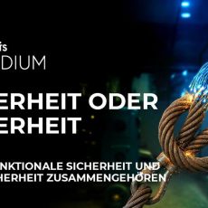 Sicherheit oder Sicherheit (Webinar | Online)