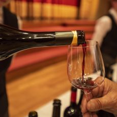 Anteprima Merano WineFestival (Unterhaltung / Freizeit | Algund)