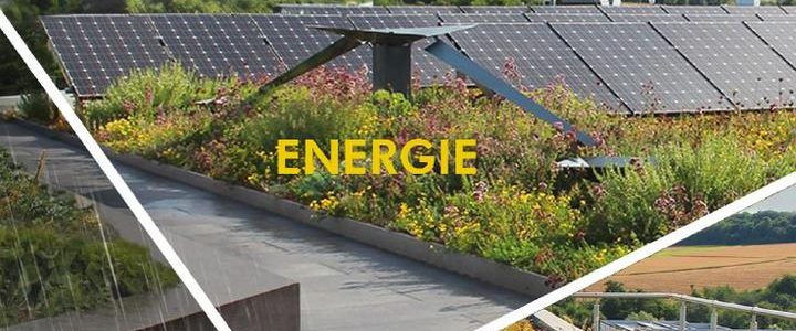 ZinCo Gründach-Seminar 2024 (Seminar | Nürtingen) ZinCo Gründach-Seminar 2024 (Seminar | Nürtingen)