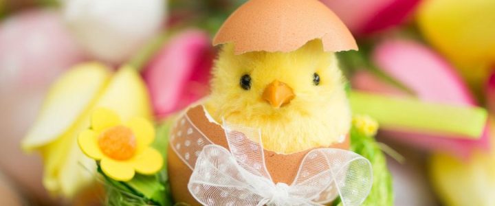 Osterbrunch – Gemütliche Osterzeit mit der Familie! (Unterhaltung / Freizeit | Dobbin-Linstow)