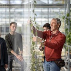 Online-Infoveranstaltung zum berufsbegleitenden Studiengang Pflanzentechnologie in der Agrarwirtscha (Sonstiges | Online)