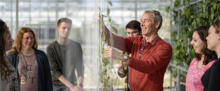 Online-Infoveranstaltung zum berufsbegleitenden Studiengang Pflanzentechnologie in der Agrarwirtscha (Sonstiges | Online)