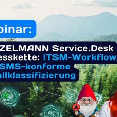 HEINZELMANN Service.Desk Prozesskette: ITSM-Workflows und ISMS-konforme Vorfallklassifizierung (Webinar | Online)