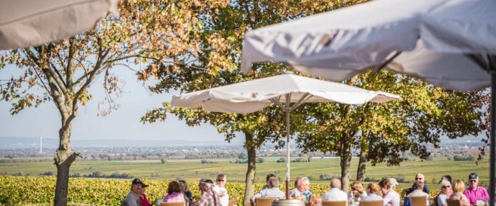 Livemusik im Weinland Königsbach mit THE FROCS (Unterhaltung / Freizeit | Neustadt an der Weinstraße)