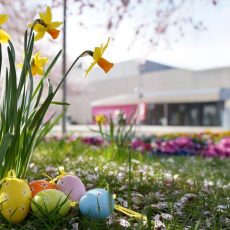 An der Sonnenfalle im Kurpark Bad Bevensen (Unterhaltung / Freizeit | Bad Bevensen)