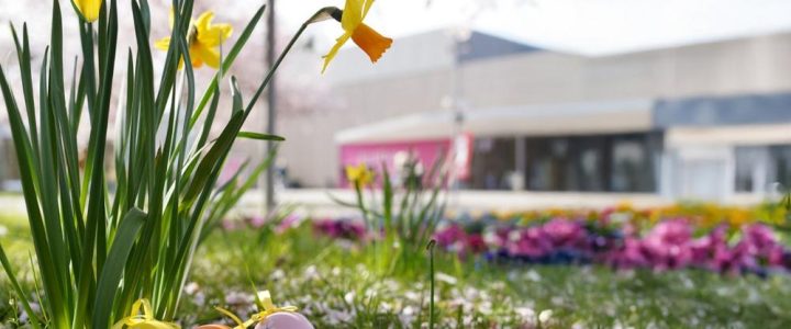 An der Sonnenfalle im Kurpark Bad Bevensen (Unterhaltung / Freizeit | Bad Bevensen)