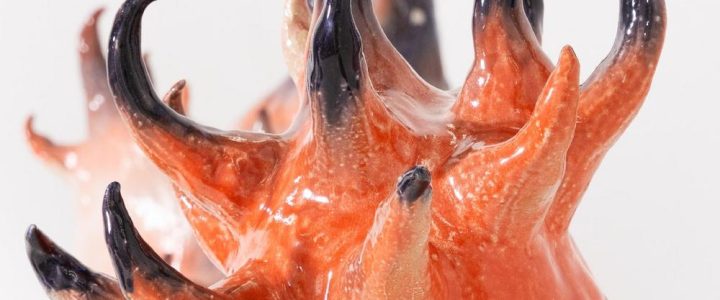 Sonderausstellung:  SPRENGEL@FEINKUNST – MAJA ZIPF – EMOTIONAL SUPPORT OBJECTS (Ausstellung | Hannover)