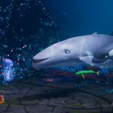 Kino im Kurhaus: „Der letzte Walsänger“ (Unterhaltung / Freizeit | Bad Herrenalb)