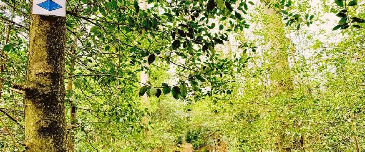 „Historische Runde“ rund um Dobel (Unterhaltung / Freizeit | Dobel)