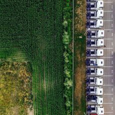 Kostenfreies Webinar: CO₂-Bilanzierung​in der Logistik (Webinar | Online)