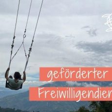 Online-Infoabend: Geförderter FWD (ESK und weltwärts) (Webinar | Online)
