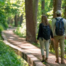 Donautal-Wandertrio 2026 (Sonstiges | Bächingen an der Brenz)