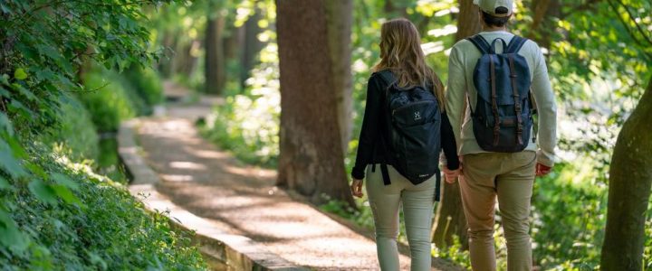 Donautal-Wandertrio 2026 (Sonstiges | Bächingen an der Brenz) Donautal-Wandertrio 2026 (Sonstiges | Bächingen an der Brenz)