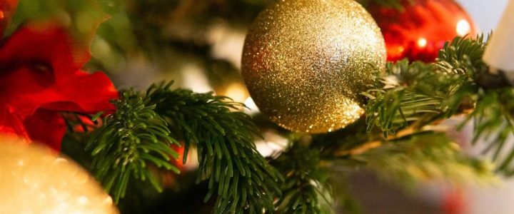 Nikolausbrunch (Unterhaltung / Freizeit | Bad Sulza)