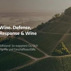 Cyber & Wine. (Networking | Castell)