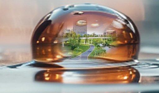 ACO Regenwelten – Schwammstadt: Stadtgrün stärken, Wasser intelligent managen (Webinar | Online)