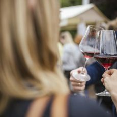 Südtiroler Weingenuss Algund (Unterhaltung / Freizeit | Algund) Südtiroler Weingenuss Algund (Unterhaltung / Freizeit | Algund)