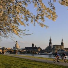 Biomaterialien und Techniken zur Mastoidobliteration (Vortrag | Dresden)
